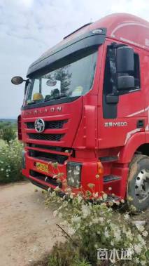 草毯状马尼拉草