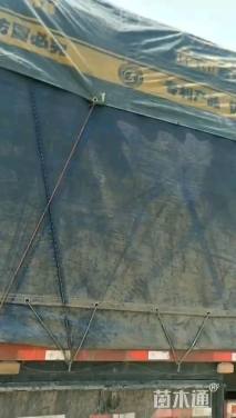 高度15厘米八宝景天