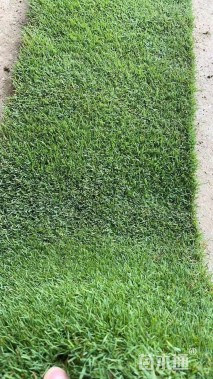 草卷状草皮