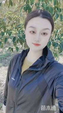 17公分大叶女贞