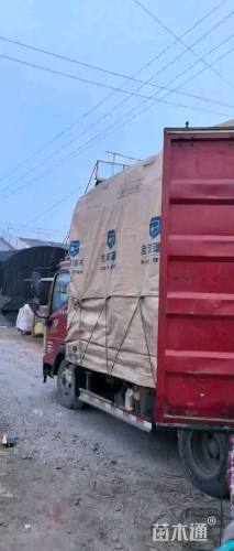 纤序芒基地直销     纤序芒种植基地