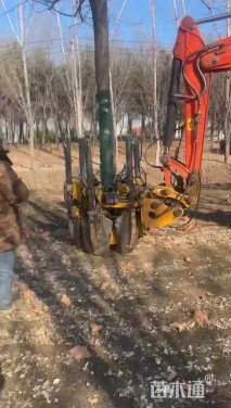 挖树机