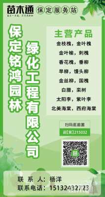 高度200厘米卫矛