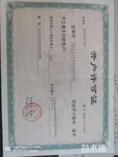 15公分美国红枫