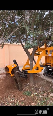 挖树机