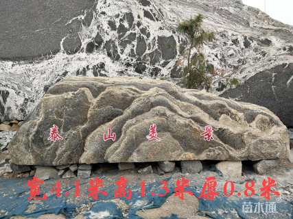 泰山  奇石  景观石，  别墅  庭院用石，  门牌石，  各类工程用石，承接各类造型石。园林景观石