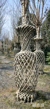 80公分紫薇花瓶