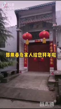 高度8000厘米雪松