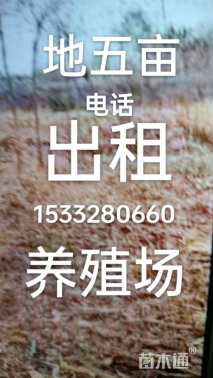 养殖场出租迁安市杨崖标