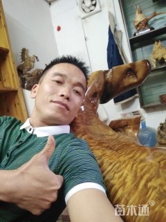 50公分金丝楠木