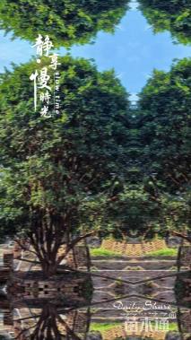 高度200厘米嘉宝果