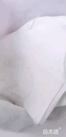 出口的美植袋按吨卖