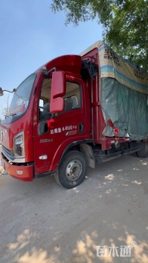 高度30厘米波斯菊