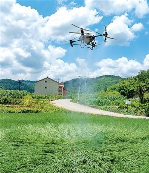 重庆市南川区供销社农技人员在水江镇大顺村稻田里，使用植保无人机开展硅肥精准喷洒作业。罗川 摄（人民视觉）