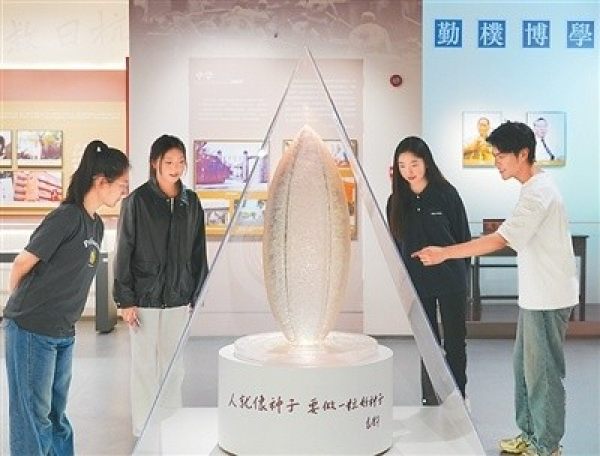学生在西南大学袁隆平纪念馆参观。秦廷富 摄（人民图片）