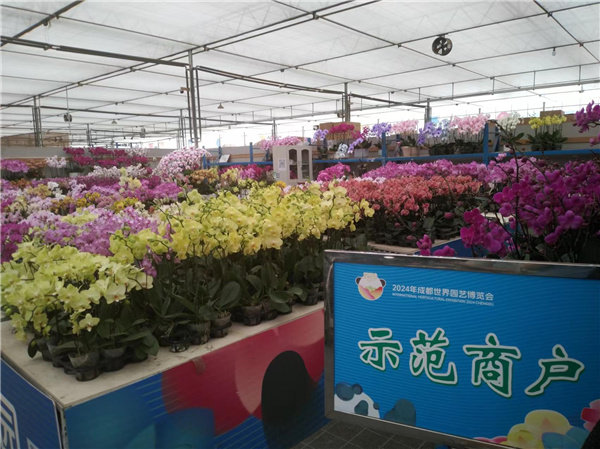 行业媒体成都世园行丨郫都分会场