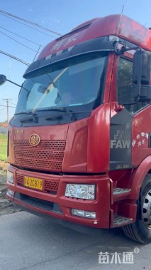 高度15厘米福禄考