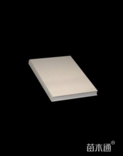 0.8公分红果冬青