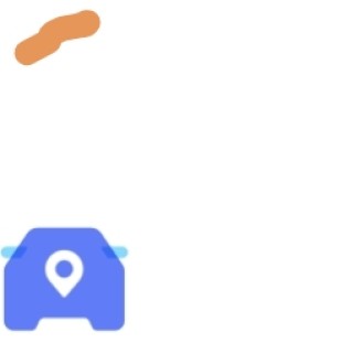 10公分榉树