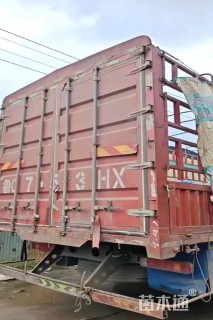 高度20厘米三色堇