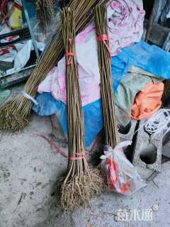 高度40厘米鸡脚连