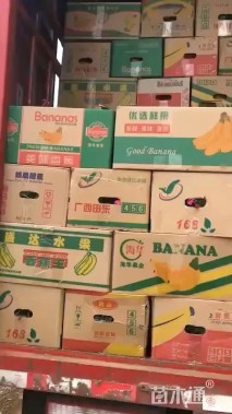 高度25厘米玉簪