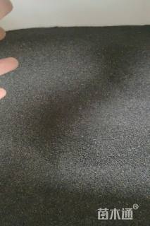 重瓣太阳花种子太阳花种子