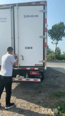 高度60厘米花叶芦竹