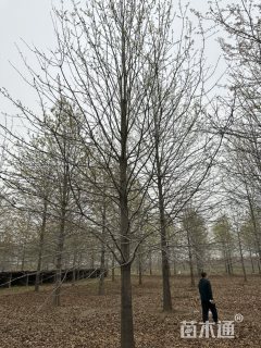 精品娜塔莉,自产自销