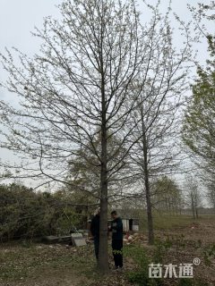 精品娜塔莉,自产自销