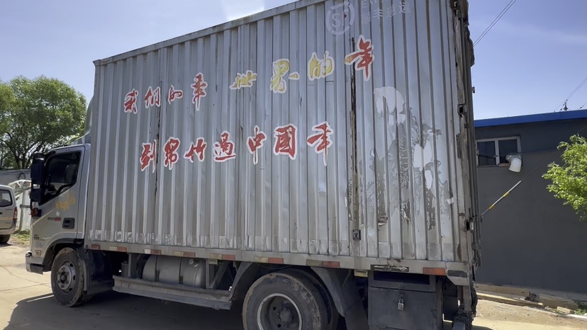 50厘米金银花