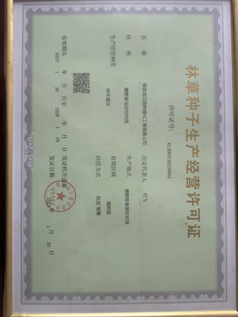 15公分香花槐