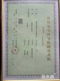 12公分绚丽海棠