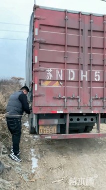 高度20厘米太阳花