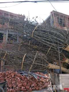 18公分垂丝海棠