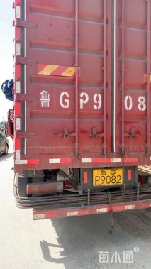 高度40厘米忍冬