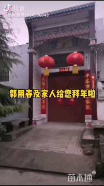 8公分大叶女贞