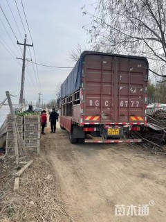 高度15厘米一支笔