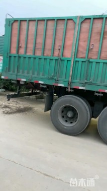 高度100厘米蜀桧