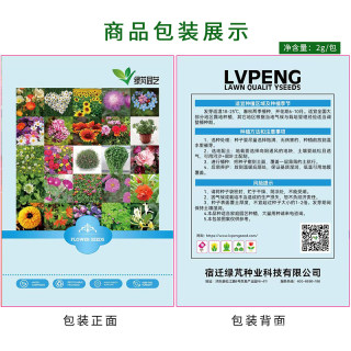 玩具熊向日葵彩包向日葵种子