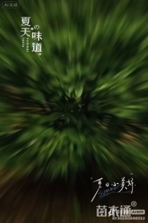高度400厘米丛生桂花