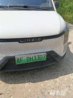 高度40厘米金叶女贞