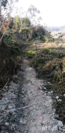 3公分海南黄花梨
