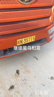 5公分乌桕