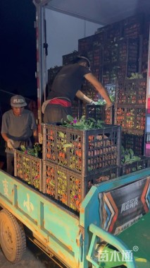 高度30厘米一支笔