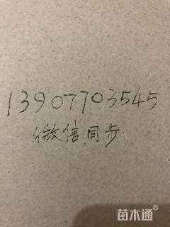 30厘米天门冬