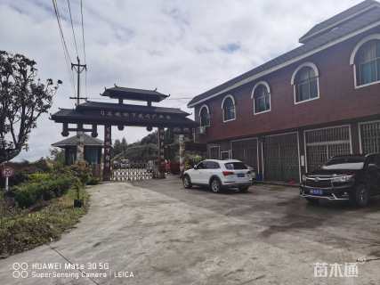 高度2.5厘米高山杜鹃