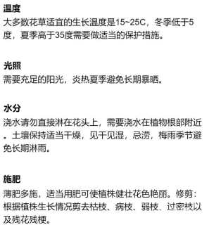 毛地黄种子