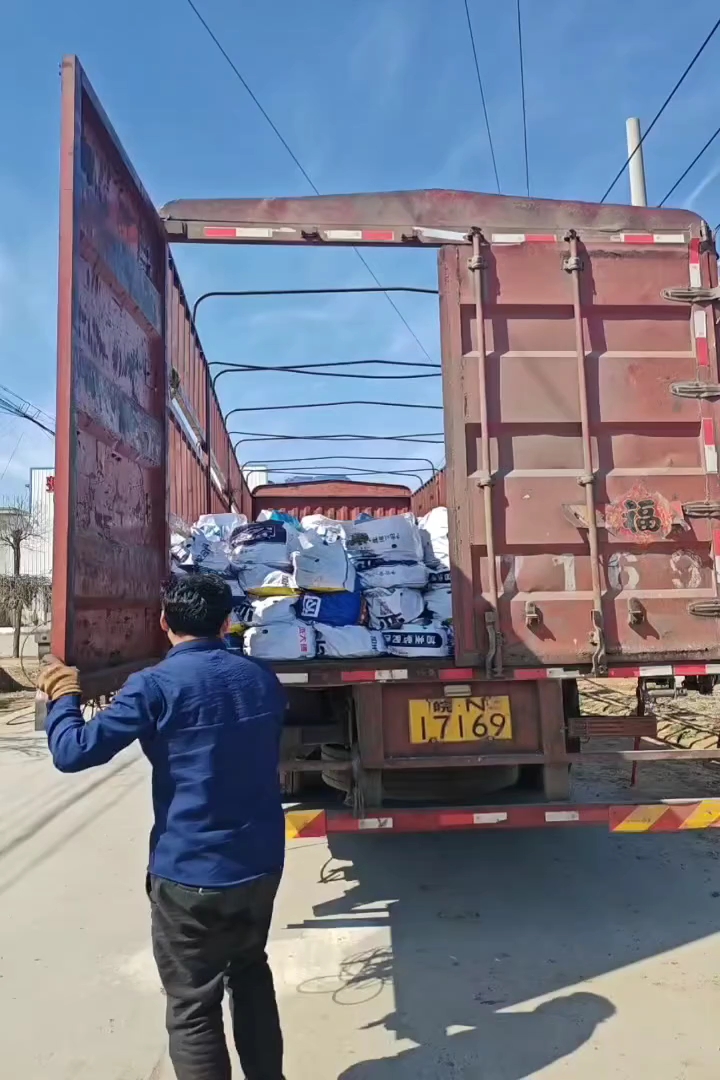 容器苗蓝羊茅