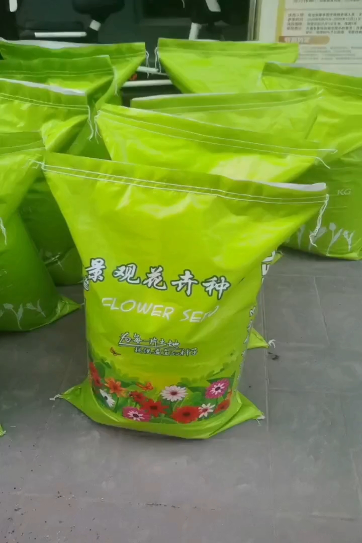 翠菊种子翠菊种子